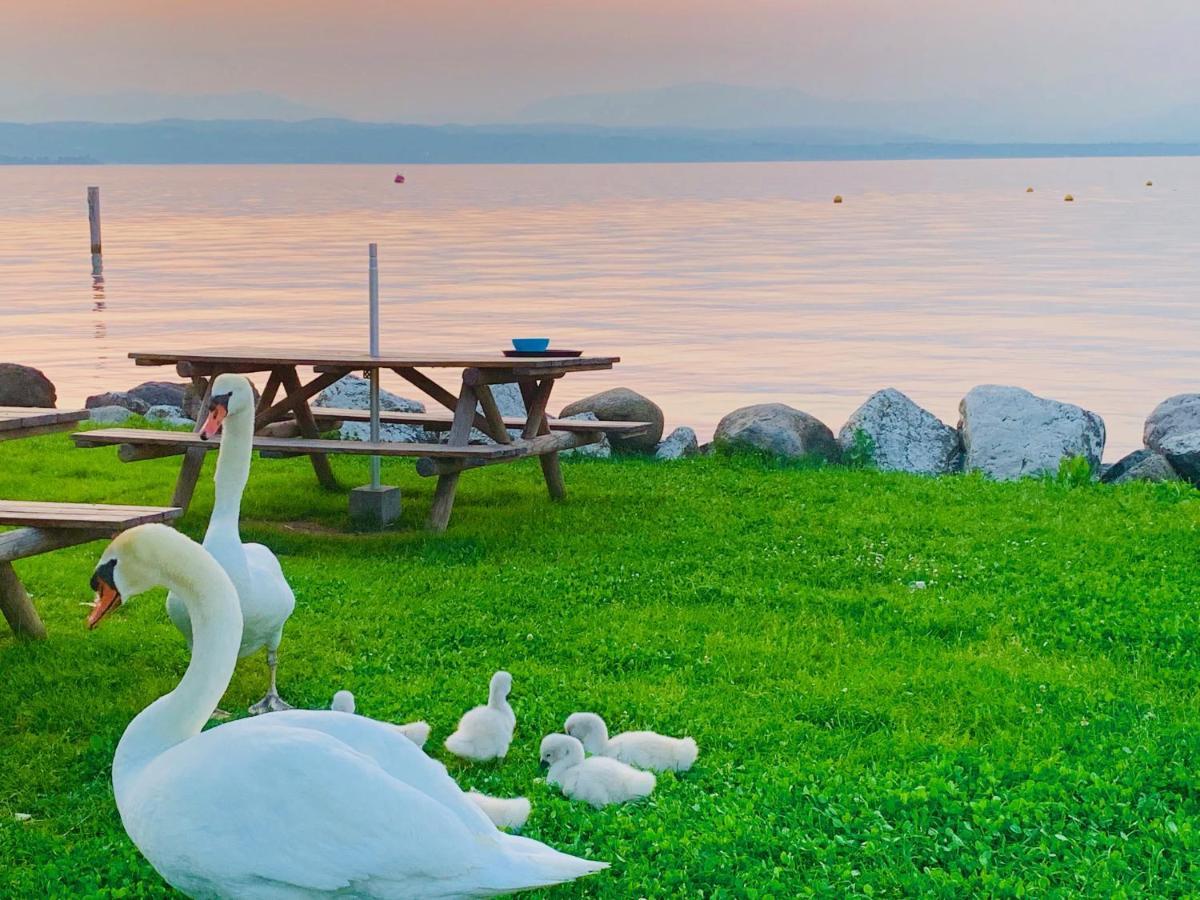 Hotel Aquila D'Oro Desenzano Desenzano del Garda Esterno foto
